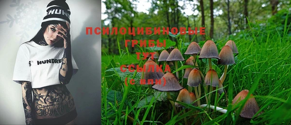 гидропоника Вяземский